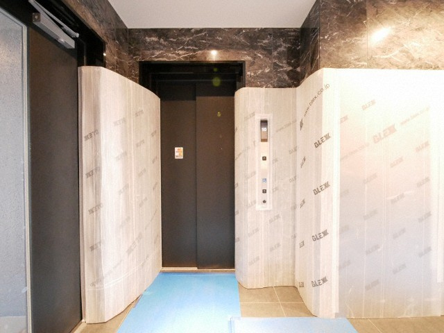 大阪市東住吉区桑津２丁目の賃貸マンションのエントランス