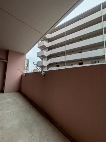 オーパス・ワン の展望