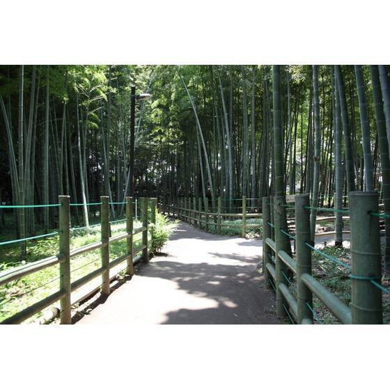 エンゼルフラッツのロビー|すずめのお宿緑地公園まで452m 