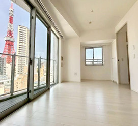 ライオンズ麻布十番スペリアの居間・リビング