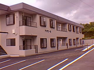 アスランⅡの画像