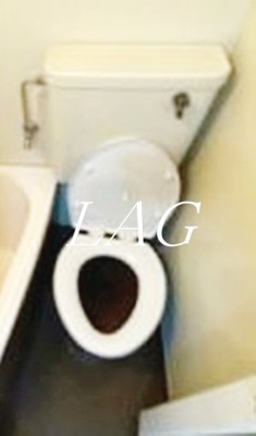 【トイレ】 | 宝マンション常盤台 | トイレです。