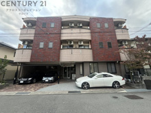 ディーシモンズの画像