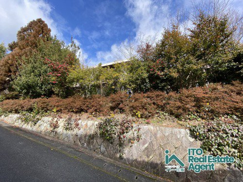 大宮玄琢北東町 中古戸建の外観