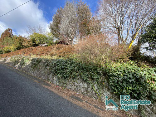 大宮玄琢北東町 中古戸建の外観