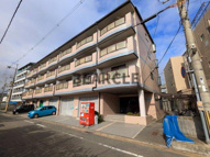 ポインセチアの画像