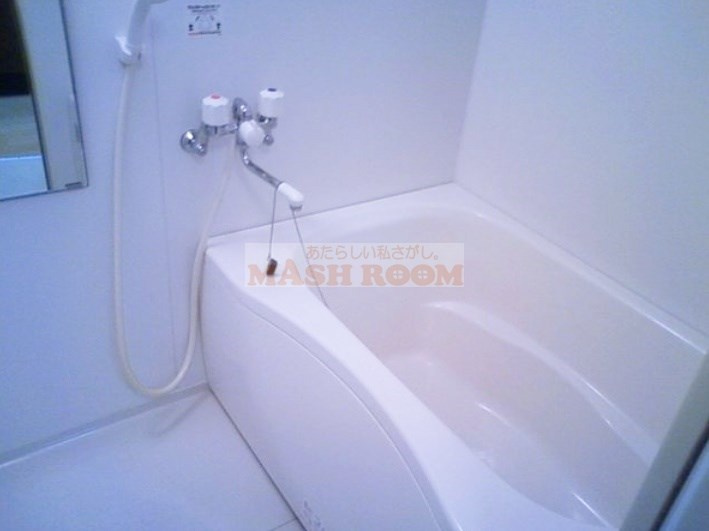 エルミタージュの浴室