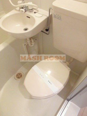 グレース小椋Ⅱのトイレ