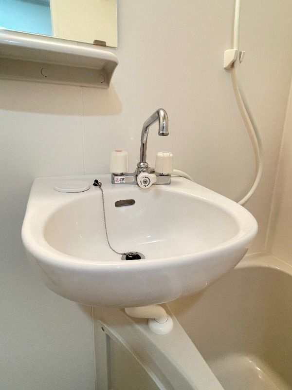 シャンテ谷在家の洗面所