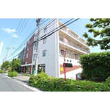 Ｍｉｌｅｂｅｌ　ｃｈｉｔｏｓｅｄａｉ（ミレベルチトセダイ）の画像