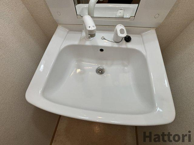 スローハスコートの洗面所