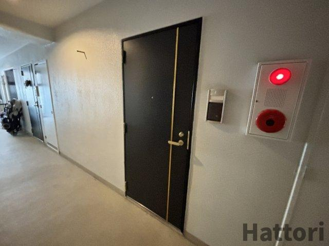 スローハスコートのその他