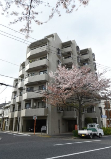 中野区松が丘２丁目の賃貸マンションの外観