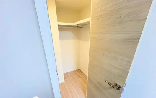 ビューリッシュ港北ニュータウンアジュリーヌの収納|コンパクトながらコーナーも利用した収納便利な明るい印象のクローゼットです。