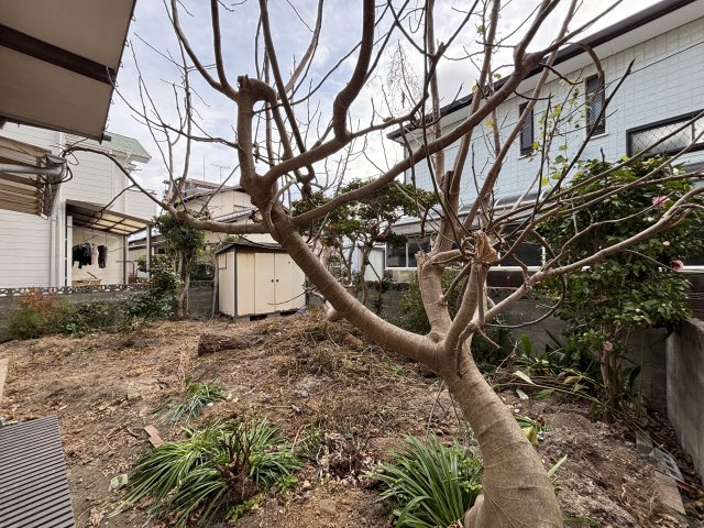 福岡市早良区干隈3丁目土地の展望|南西側の庭より東方向を見る