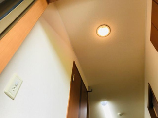 【玄関】 | ファレノプシス | 人感センサー付き照明器具（イメージ）