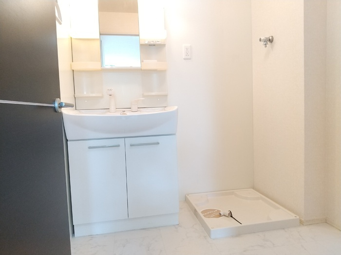 ビラーション赤坪の洗面所