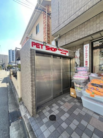 プロスパー江坂のエントランス