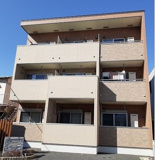 プラシードの画像