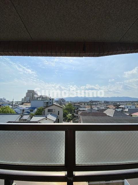 フリーダム中村の展望
