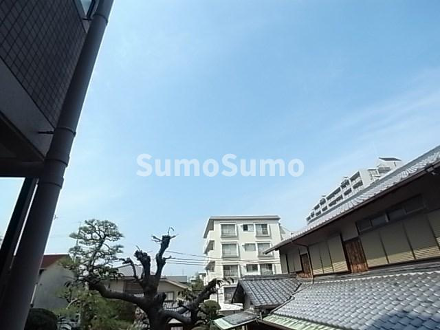 ウィステリアⅡの展望