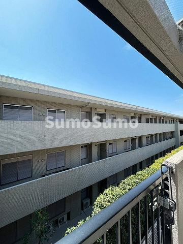 グレース２９の展望