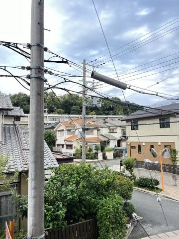 ユーソニアの展望