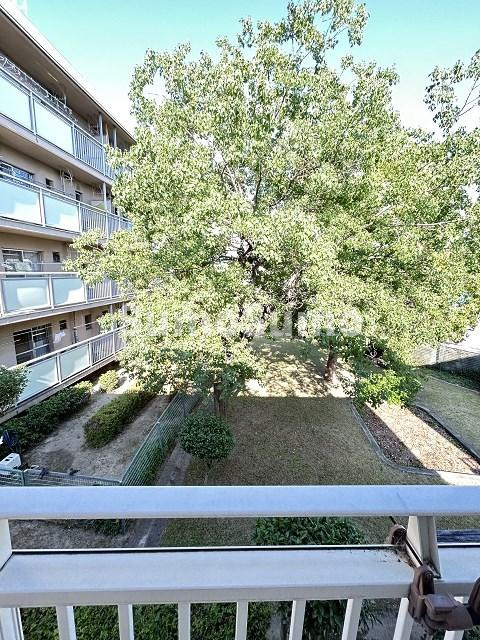 カーサクライマーの展望