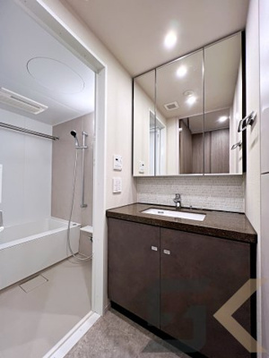 【独立洗面台】 | ザ・パークハビオＳＯＨＯ代々木公園 | 別部屋　参考
