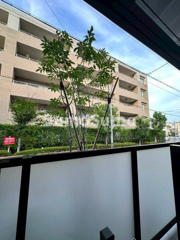 ラ　フレーズの展望