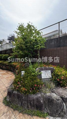 グレースパインヒルズ高宮の外観|建物外観を気になさる方へ、見た目の良い物件です