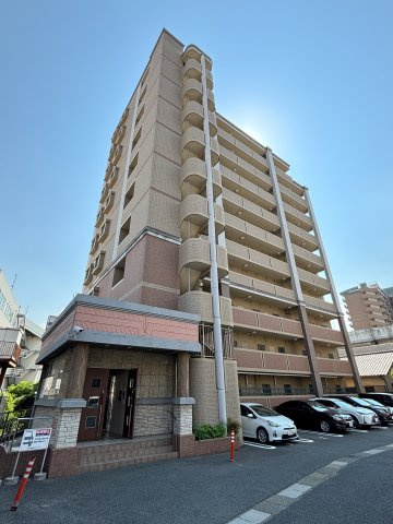 グレイス竹下