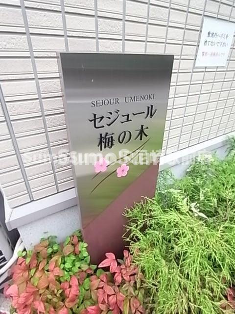 セジュール梅の木の外観|外観も気になるポイント