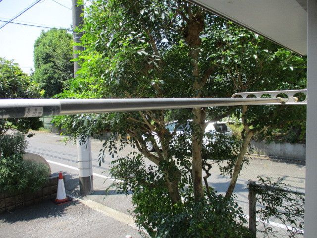 クローバーの周辺