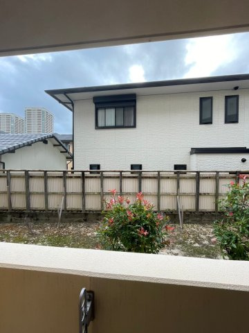 ジョイモストの展望