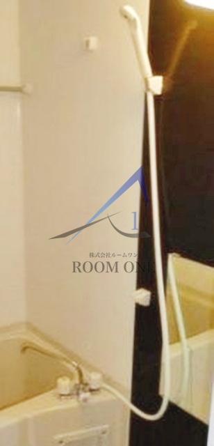 Ｃｏｒｕｊａ　Ｂｒａｎｃａのその他