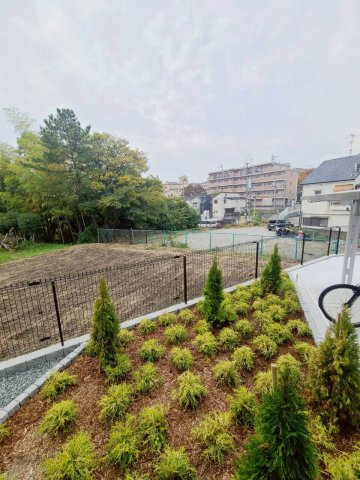 ルミエールの展望