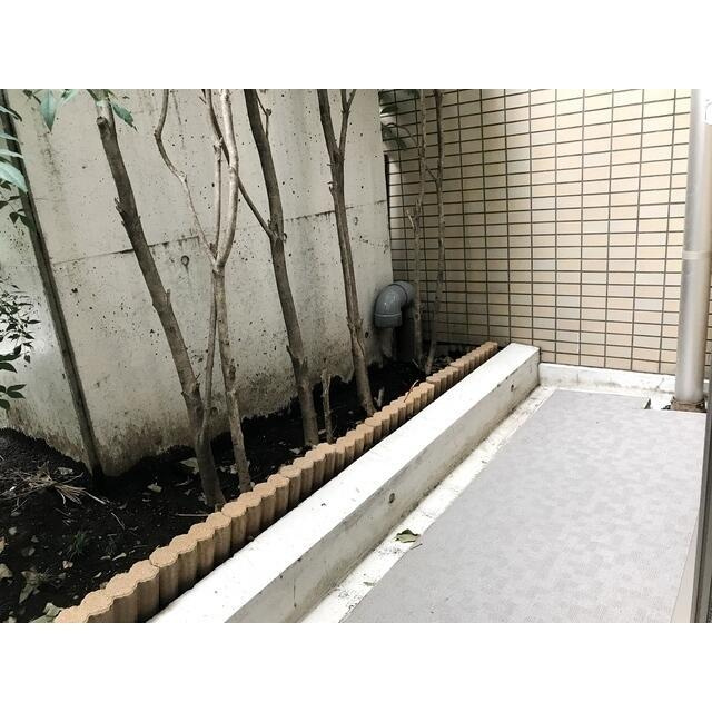ケイトガーデンの展望| 