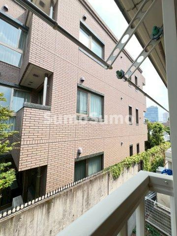 コートアオイの展望