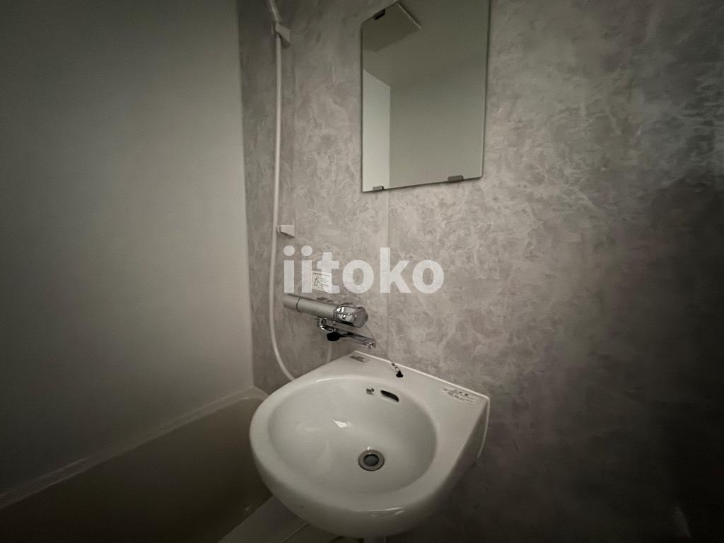 メゾンサイトウ８の洗面所