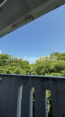 サンヴューパレス空港の展望
