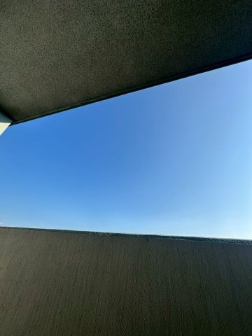 サヴォイバルビゾンの展望