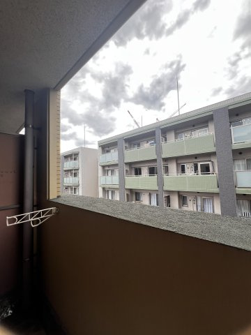 サムティ天神南Vialeの展望