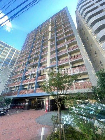 サヴォイ　テンジンスクワイヤー