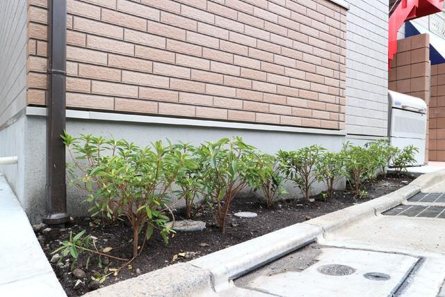 サクラヴィレッジのその他共用部分|植栽 
