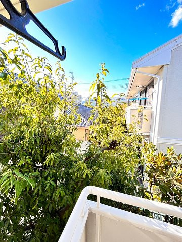 パセオ仁川の展望