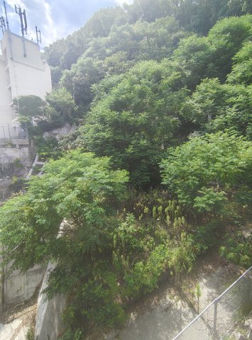 ビタミンテラス神仙寺の展望