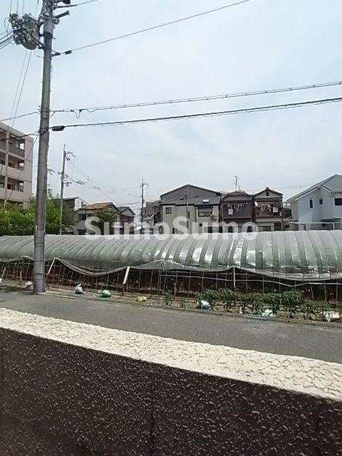 ドムール若山の展望