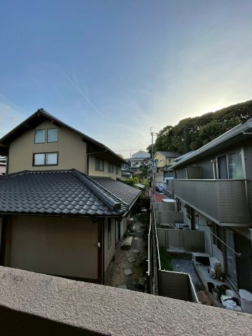 シエスタ平和の展望