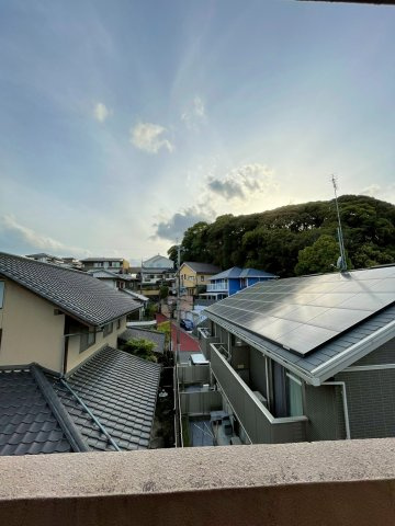 シエスタ平和の展望